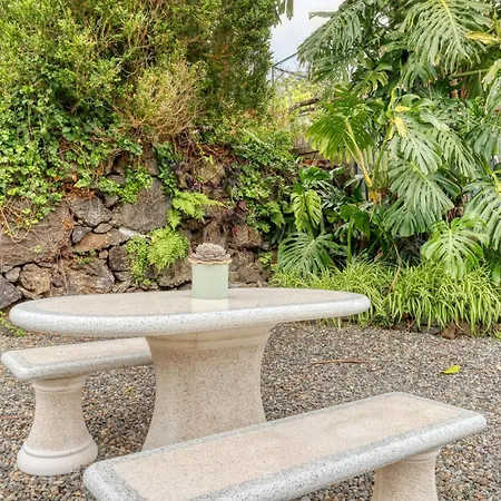 Casa Do Pinheiro Ii, A In Madeira * São Vicente